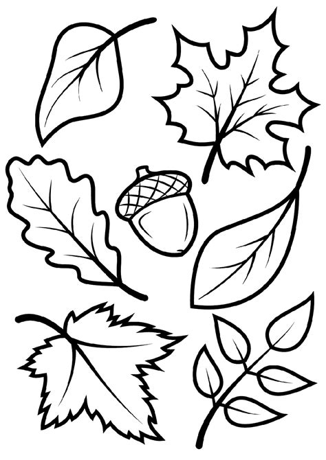 Fall Leaves Printable Coloring Pages